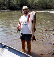 stanislaus river striper